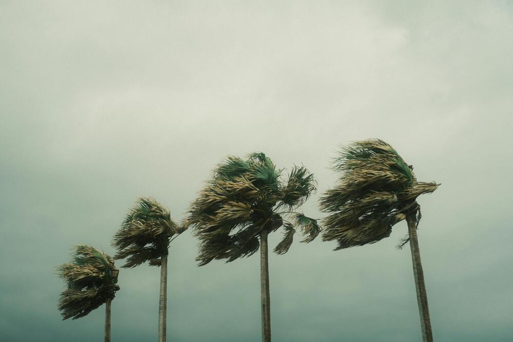 Storm Preparation