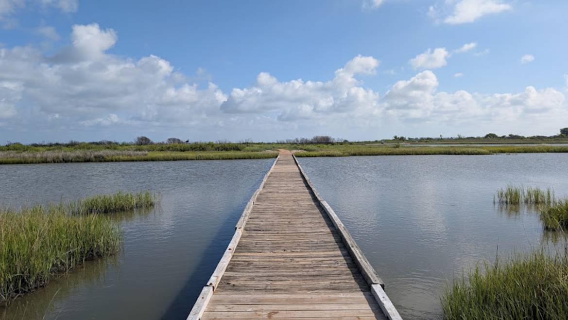 Galveston Island State Park beach and dunes