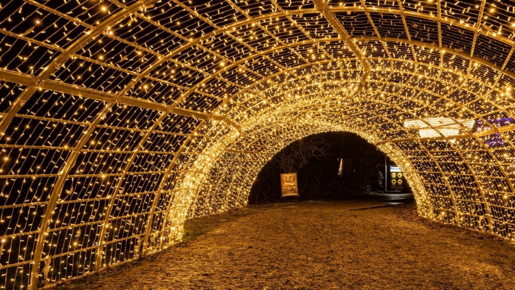 Walkway through a glowing tunnel of holiday lights at night
