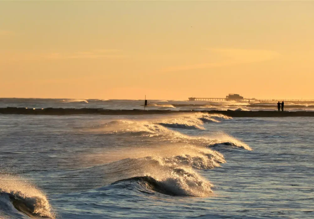 exc-669f4bae74581d39cca91d75