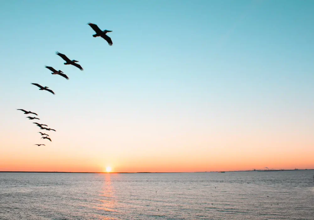 exc-66a0858f589fb1144680ad9c